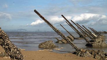Bild: Das Erste Alte Panzersperren vor Kinmen.