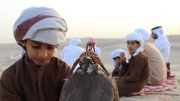 Schon die Kleinen werden an die Falknerei herangeführt. Initialzündung: wenn die 7- oder 8-Jährigen ihren ersten Greifvogel vom Vater geschenkt bekommen.