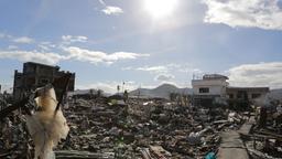 Leere, zerstörte Straßenzüge in Tacloban