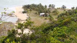 Palmen und eine Holzhütte stehen am Strand der Insel Restoration Island in Australien.