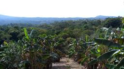 Die Landschaft außerhalb von San Salvador