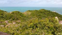 Ein grün bewachsener Hügel mit Büschen auf Restoration Island, Australien, mit Meer im Hintergrund.