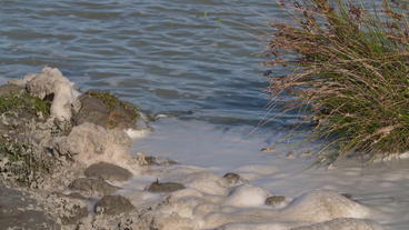 Schaum auf Wasser