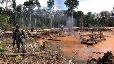 Peru: Das Amazonas-Reservat Tambopata – Umweltzerstörung durch illegale Goldgräber