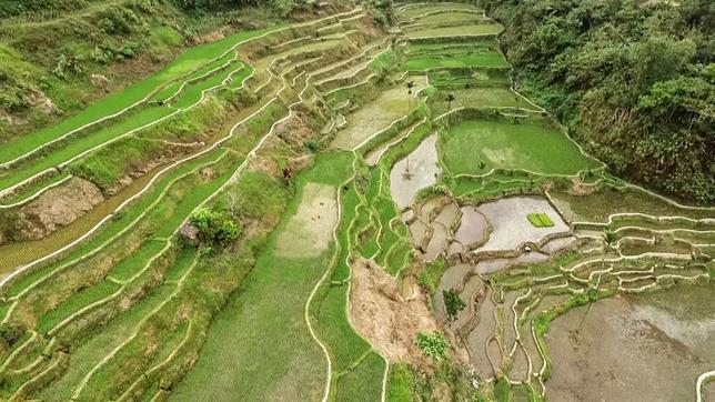 Reisterrassen auf den Philippinen