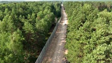 Bild: SWR Luftaufnahme Grenzzaun verläuft im Wald