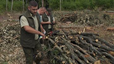 Polen: Holz statt Kohle: Für viele Polen lässt sich so im Winter preiswerter heizen.