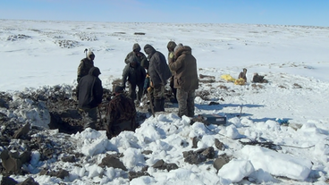 Wissenschaftler im Eis an Fundstelle eines Mammuts