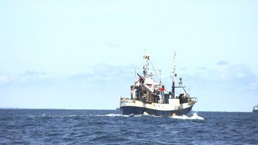 Trawler auf See