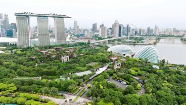 Stadtansichrt Singapur mit vielen Bäumen