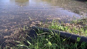 Bild: SWR Wasserrohr verläuft von Ufer in kleinen See