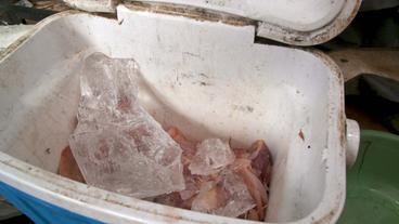 Kühl-Eis in Eimer mit Hühnerfleisch