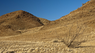 Trockene, karge Wüste