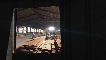 Holzplanken im Vordergrund werden von Männern in einer großen Halle an Maschinen bearbeitet