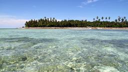 Gerade mal 20 Hektar groß: die Insel Mabul. Auf den ersten Blick ein Paradies ... 