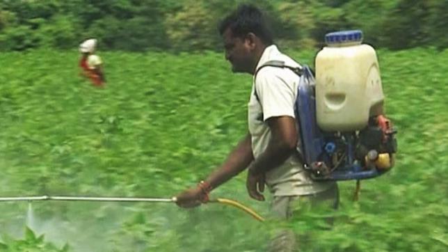 Mann spritzt Pestizide auf Feld
