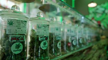 Gläser mit Cannabis-Produkten
