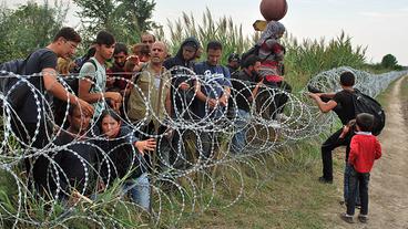 Flüchtlinge an der Grenze zu Ungarn.