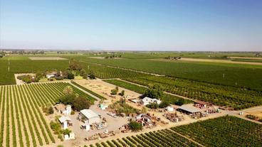 Bild: SWR Farm