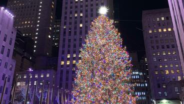 USA: Zum 88. Mal erstrahlt der Christbaum vor dem Rockefeller Center im Glanz