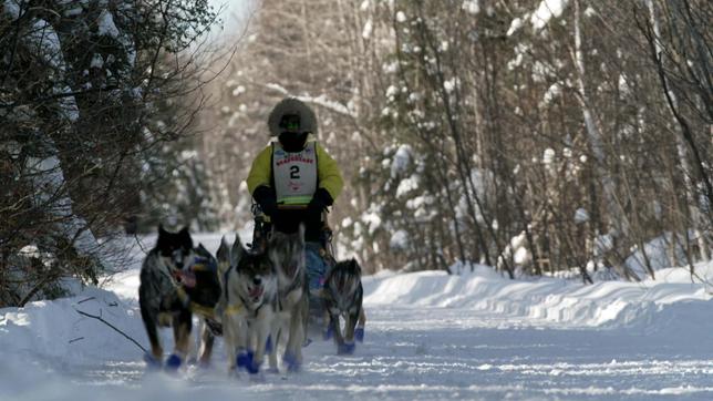 Teilnehmer bei Schlittenhunderennen