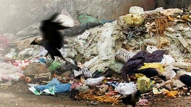Müllkippe in Karachi