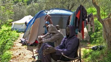 Breil: Flüchtlinge aus Afrika – sie können auf dem Bauernhof für eine kurze Zeit leben.