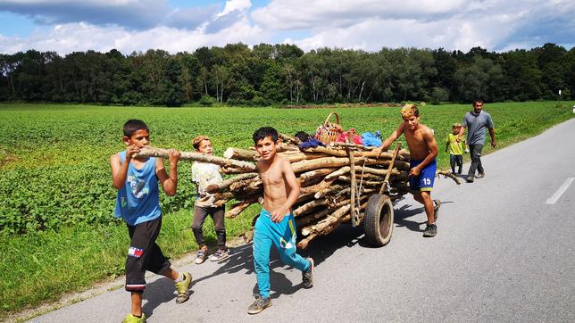 Kinder schieben und ziehen einen einfachen Wagen mit Holzstämmen auf einer Landstraße.