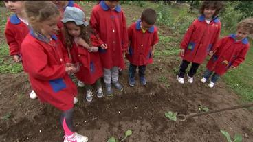 Bild: BR Kindergartenkinder beim Säen von Bohnen