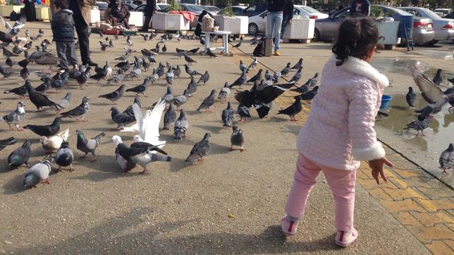 Taubenfüttern in Tripolis