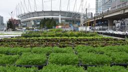 Kanada: Vancouver – Die grünste Stadt der Welt?