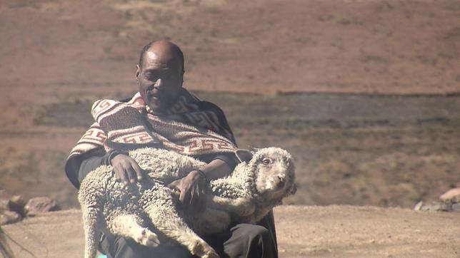 Lesotho: Aufstand der Hirten