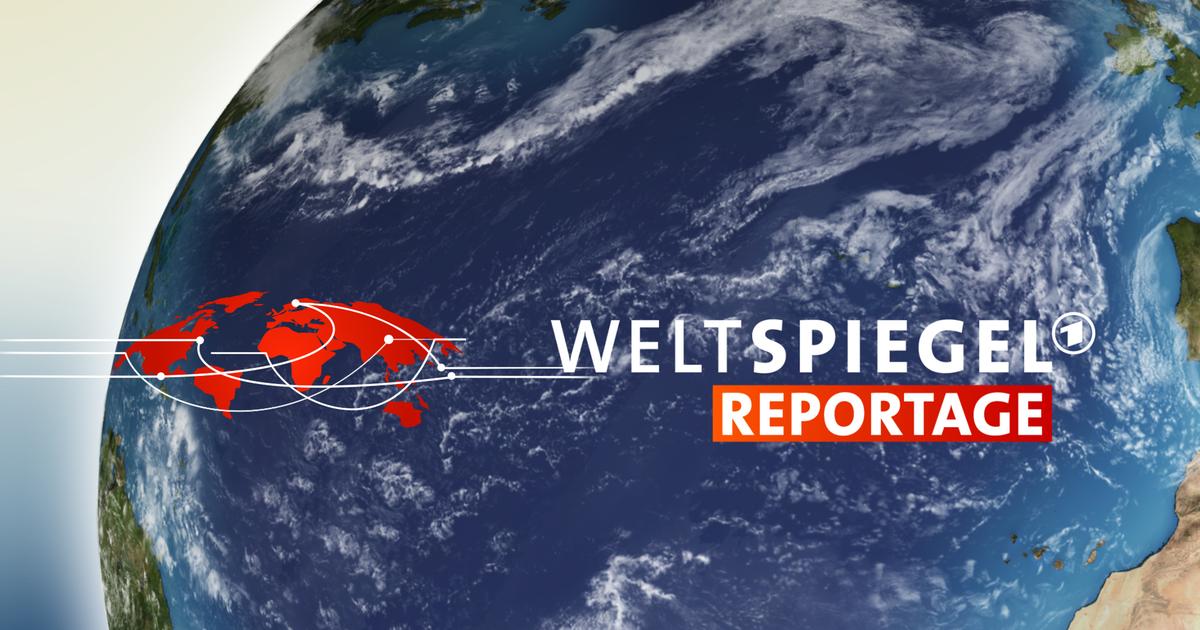 Weltspiegel Reportage Weltspiegel Reportage