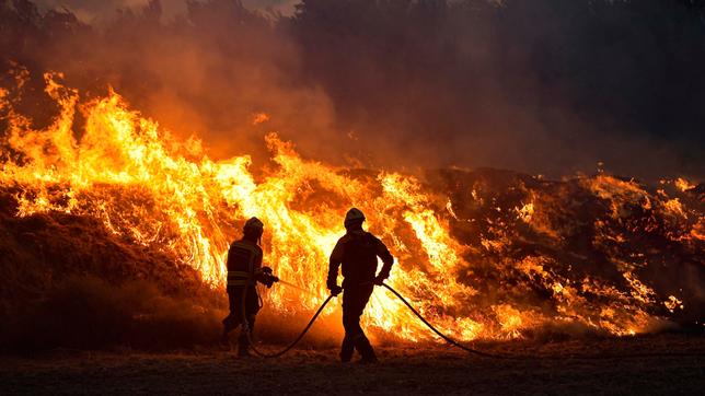Zwei Feuerwehrleute bekämpfen Waldbrand 
