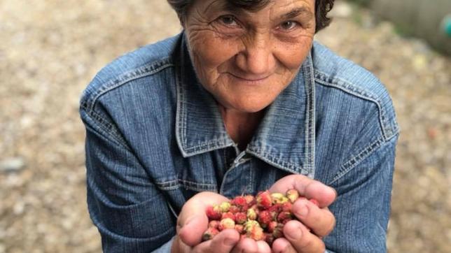 Frau mit den Händen voll Beeren