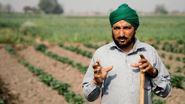 Kleinbauer Gora Singh auf dem Feld.