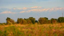 Unsere letzte Station rückt näher, Horgos: Auf dem Weg in der Ferne das Tianshan-Gebirge.