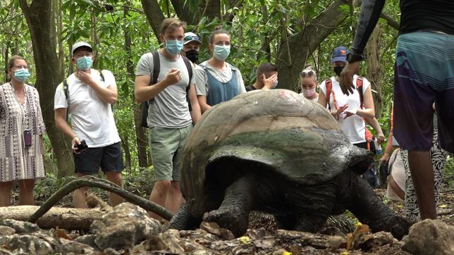 Touristen vor einer Schildkröte