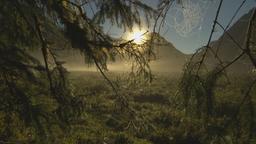 Spinnennetz vor Sonnenuntergang am Bergpanorama