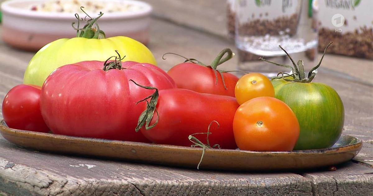 Video Tomaten ultimative Tipps... ARDBuffet ARD Das Erste