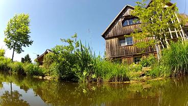 Mit Pflanzen bewachsener Teich vor einem Holzhaus