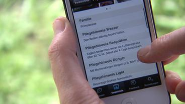 Smartphone mit Pflanzentipps auf dem Display