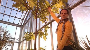 Haus im Glashaus - Ratgeber: Haus + Garten - ARD | Das Erste Haus im Glashaus - Ratgeber: Haus + Garten - ARD | Das Erste