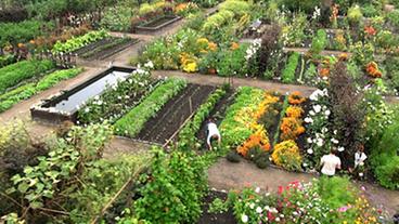 Bild: WDR (TV-Bild) Gartenansicht