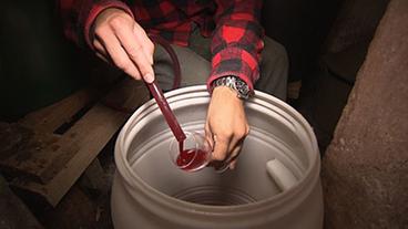 Bild: WDR (TV-Bild) Obstwein im Fass
