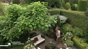 Erika Panthen und Markus Phlippen im Reihenhausgarten