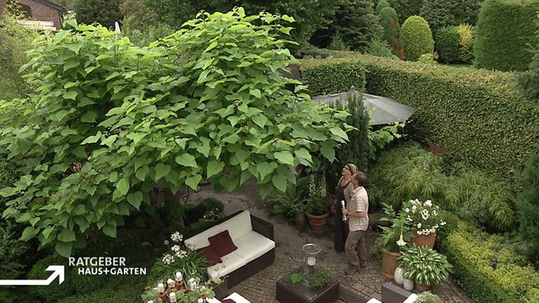 Reihenhaus mit Gartenparadies Ratgeber Haus + Garten