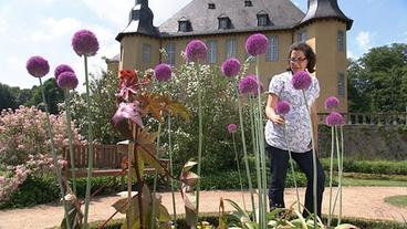 Carolin Prause vor Zierlauchpflanzen, im Hintergrund Schloss Dyck