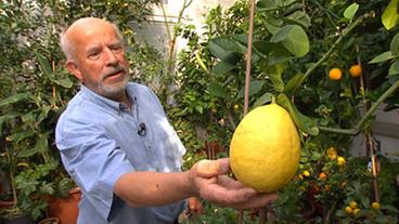 Rainer Frank mit einer Lipo-Zitrone