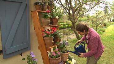 Bild: WDR (TV-Bild) Blumenleiter am Haus